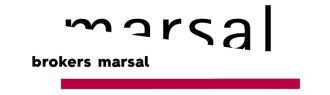 logo_B43357763